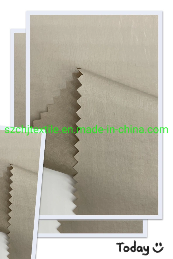 Wholesale Anti Radiation Wrinkled Functional Down Proof 100polyamide Fabric for Female Clothing
