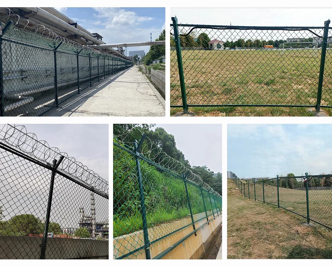 Plastic Coated Mesh Chain Link Mesh Fence Coated Raw Materials Rust Resistant and Durable Safe and Beautiful