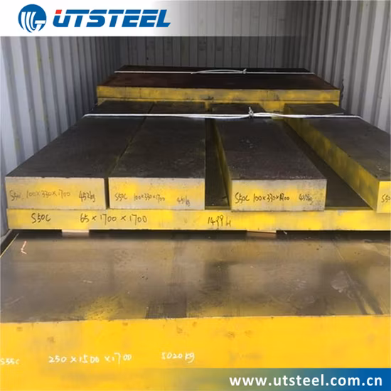 S50c/1050/C50 Hot Rolled Carbon Mold Steel Injection Mold Hb≤ 210 Cold Die Pad Materials